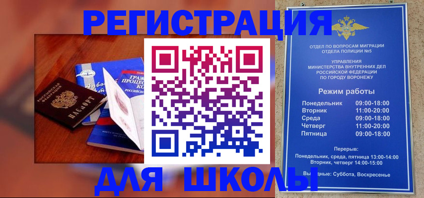 прописка для работы в Малой Вишере